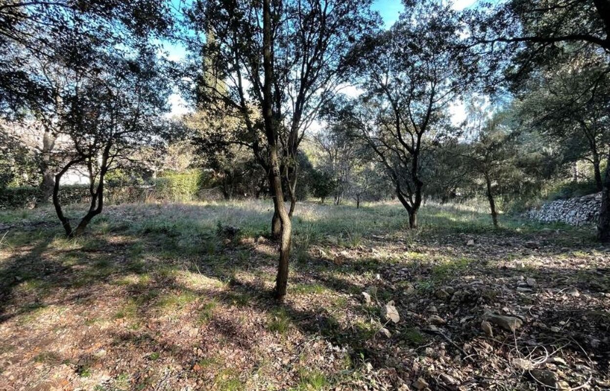 terrain  pièces 3209 m2 à vendre à Murviel-Lès-Montpellier (34570)