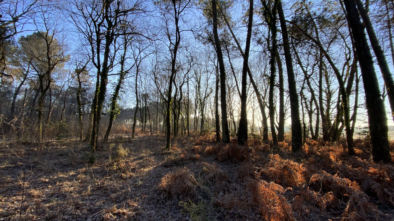 terrain  pièces 15113 m2 à vendre à Bussac-Forêt (17210)