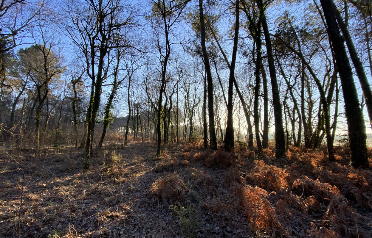 terrain  pièces 15113 m2 à vendre à Bussac-Forêt (17210)