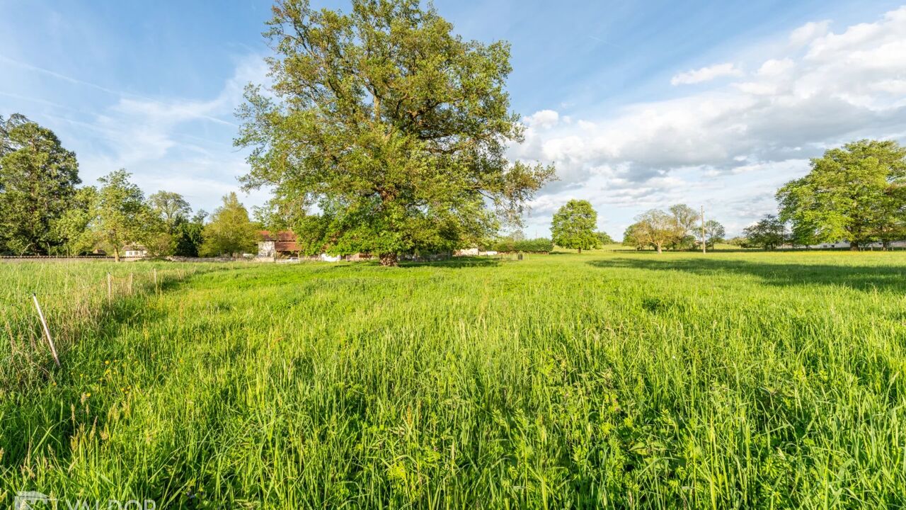 maison 6 pièces 190 m2 à vendre à Saint-Didier-sur-Chalaronne (01140)