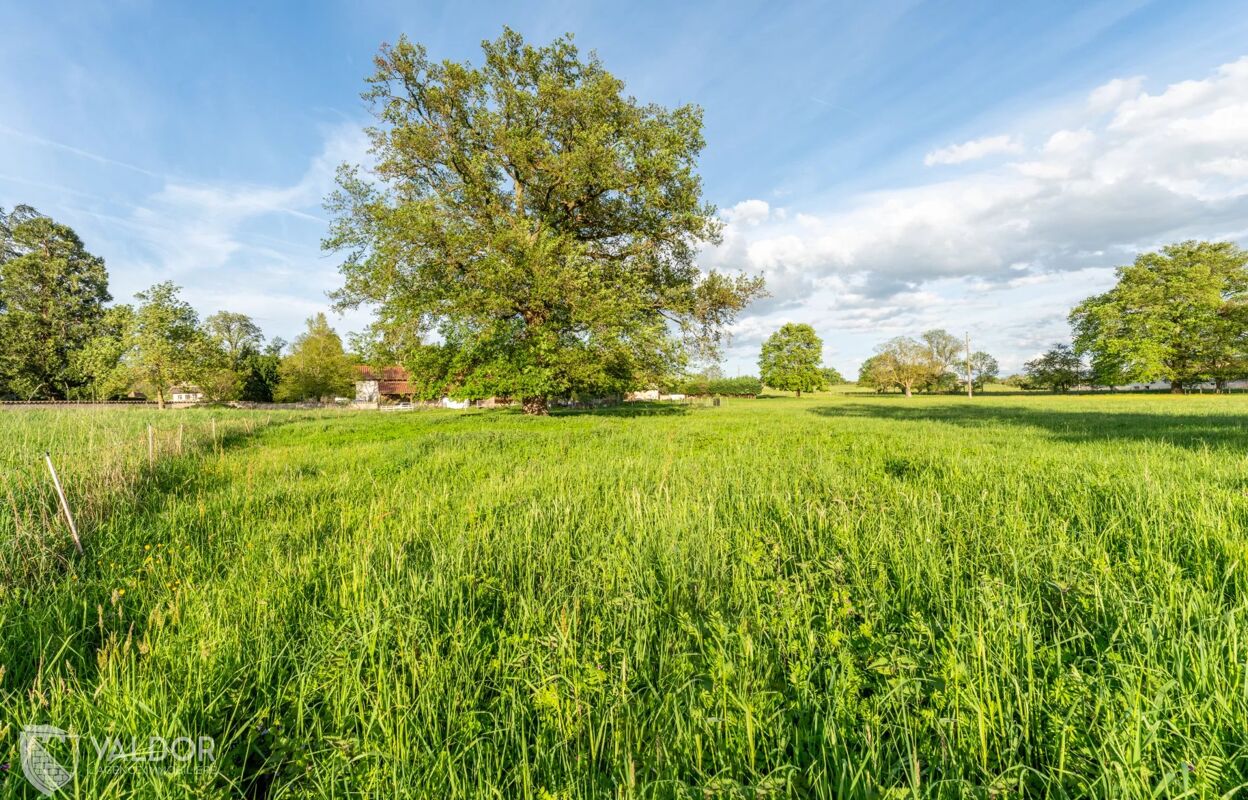 maison 6 pièces 190 m2 à vendre à Saint-Didier-sur-Chalaronne (01140)