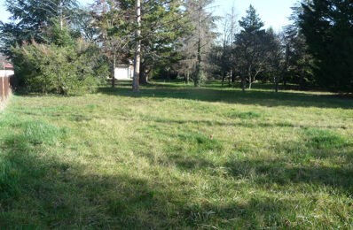 terrain  pièces 770 m2 à vendre à Savigneux (42600)