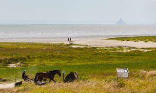 Maison 7 Pièces 150 m² à vendre à Hirel (35120)