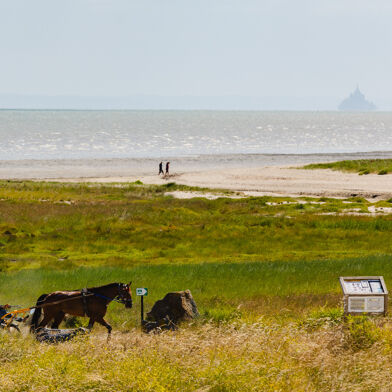 Maison 7 pièces 490000 €