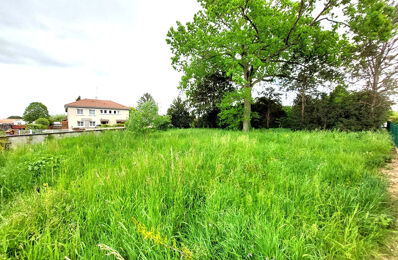 terrain  pièces 831 m2 à vendre à Crêches-sur-Saône (71680)