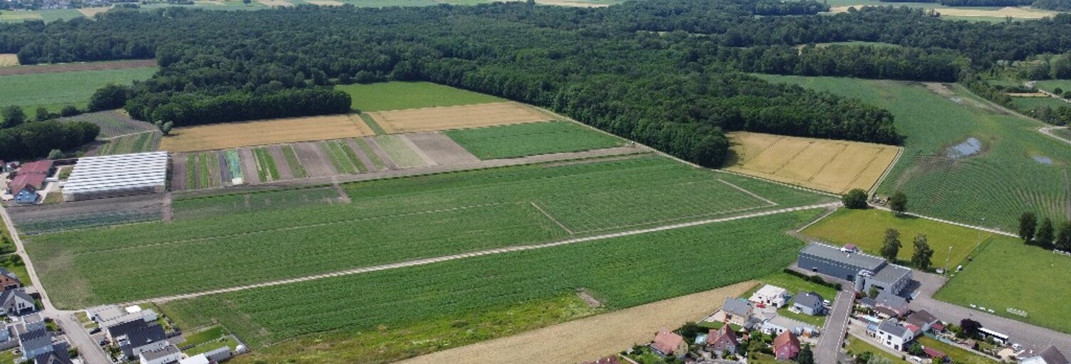 Terrain  689 m² à vendre à Bindernheim (67600)