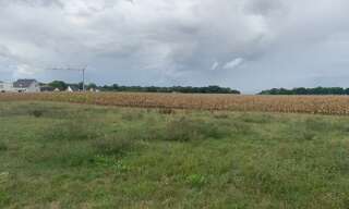 Terrain  689 m² à vendre à Bindernheim (67600)