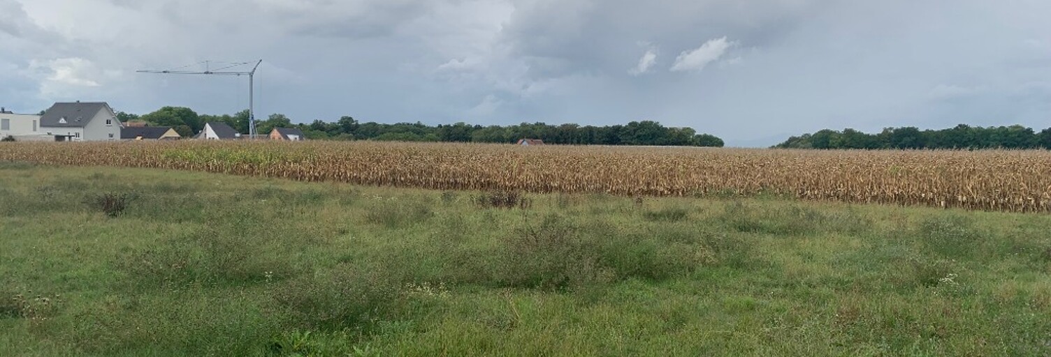 Terrain  689 m² à vendre à Bindernheim (67600)