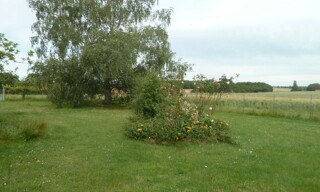 Photo N° 3
