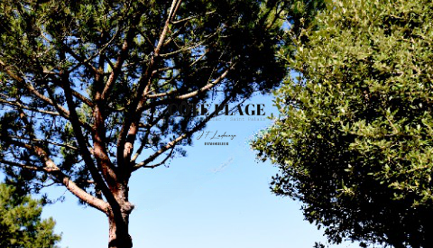 Villa / Maison 6 pièces  à vendre Saint-Palais-sur-Mer 17420