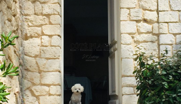 Villa / Maison 6 pièces  à vendre Saint-Palais-sur-Mer 17420