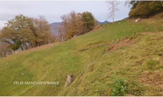 Photo N° 6