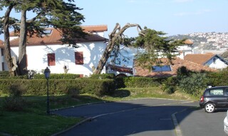 Photo N° 3