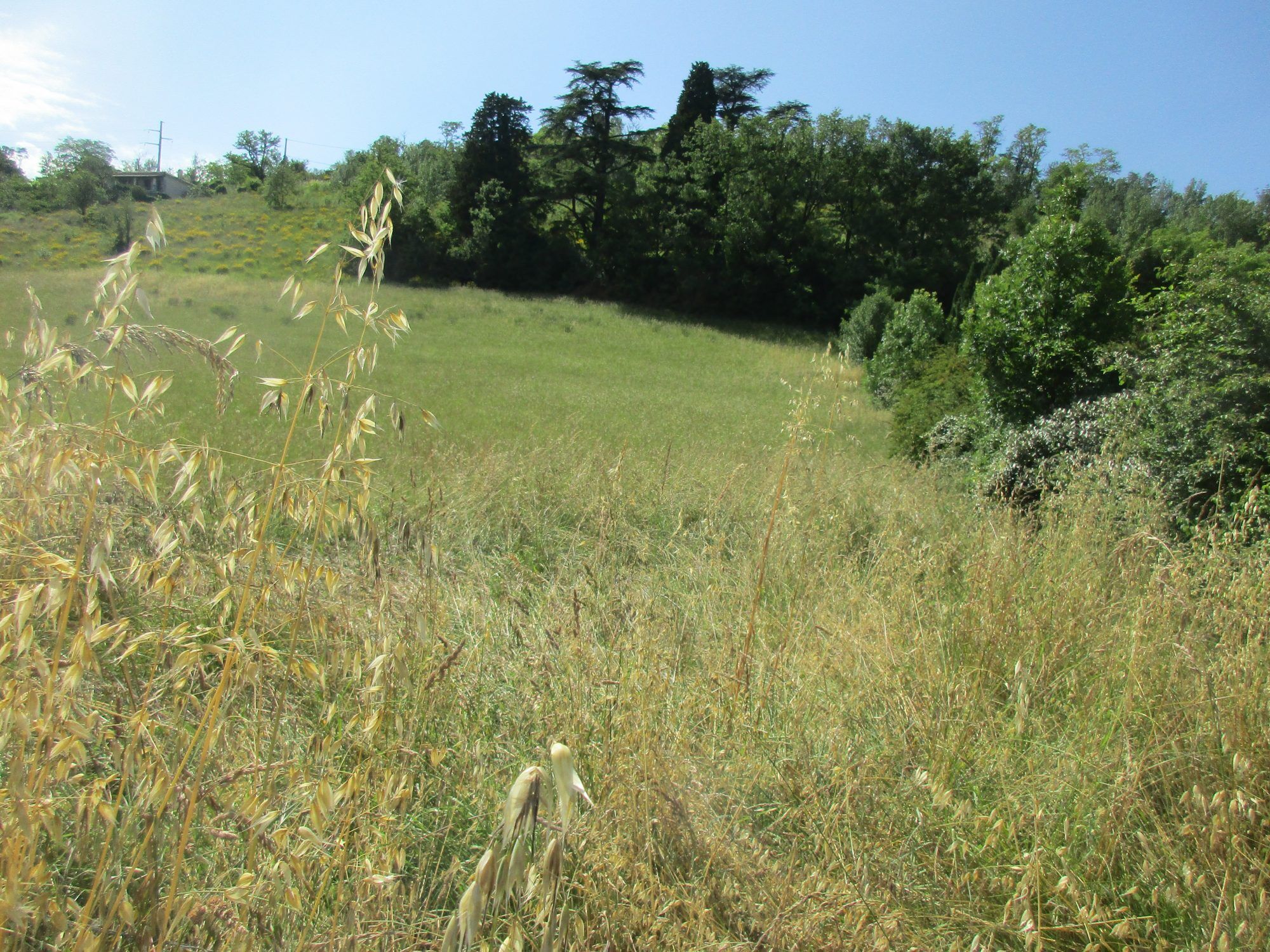 Agence immobilière de BENAC IMMOBILIER ALBI