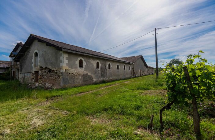 Château — photo 3