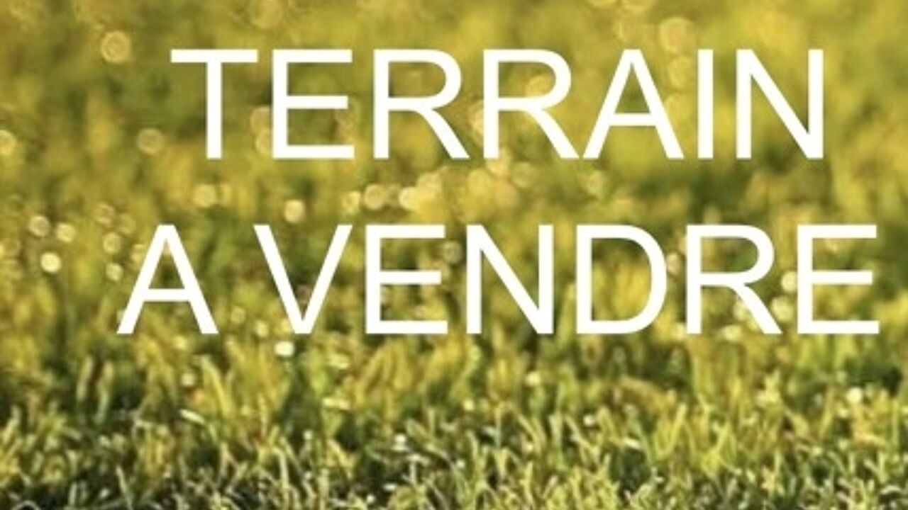 terrain  pièces 1100 m2 à vendre à Vitry-sur-Seine (94400)