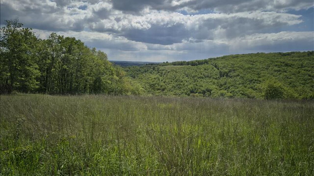 terrain  pièces 7375 m2 à vendre à Souillac (46200)