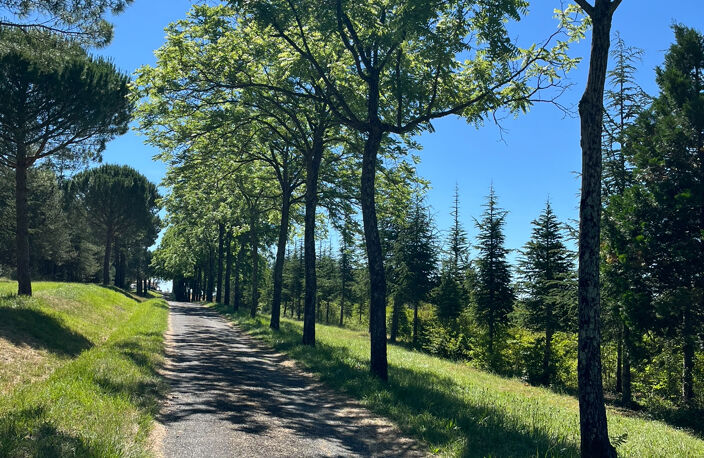 BELLE DEMEURE AVEC 5 Ha — photo 2