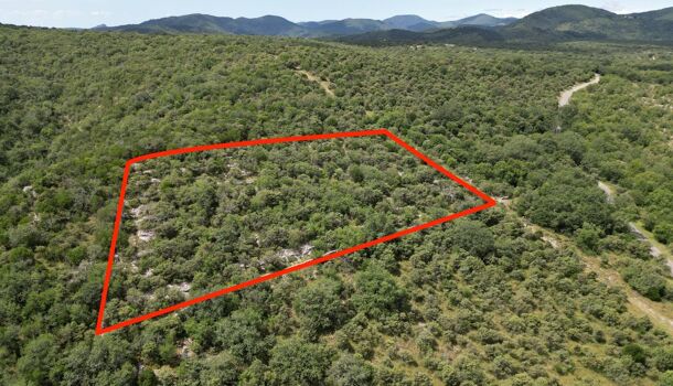 Terrain  à vendre Beaulieu 07460