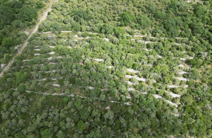 Terrain non constructible de 7350 m2 — photo 2