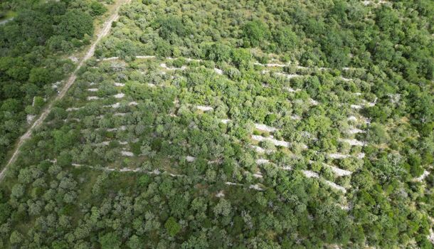 Terrain  à vendre Beaulieu 07460