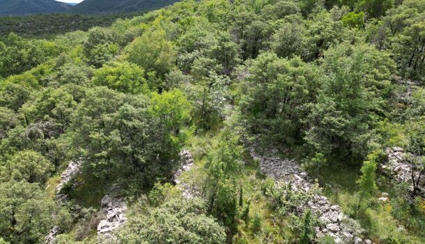 Terrain  à vendre Beaulieu 07460