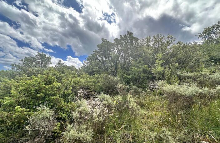 Terrain non constructible de 7350 m2 — photo 5