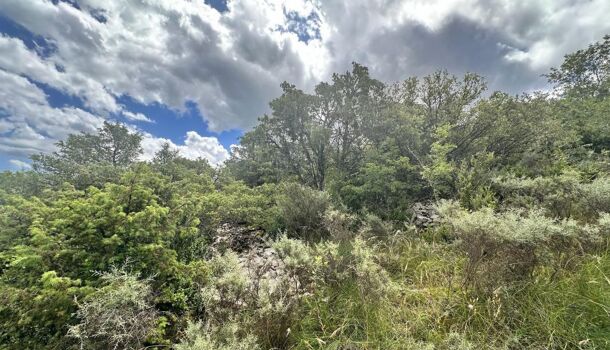 Terrain  à vendre Beaulieu 07460