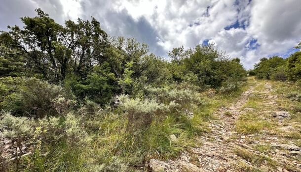 Terrain  à vendre Beaulieu 07460