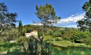 Photo N° 4