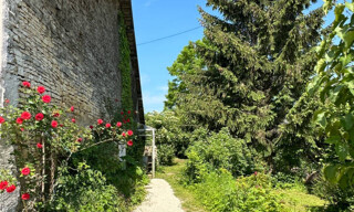 Photo N° 3