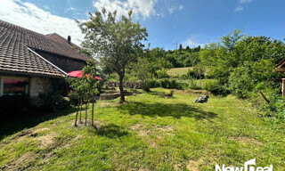 Photo N° 6