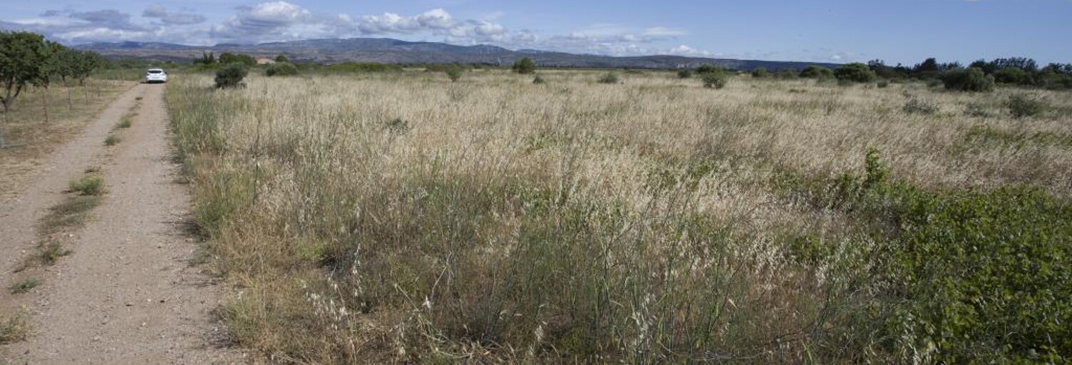 Maison  5210 m² à vendre à Saint-Hippolyte (66510)