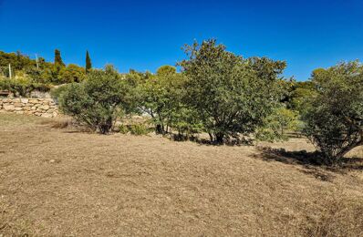 terrain  pièces 804 m2 à vendre à Lorgues (83510)