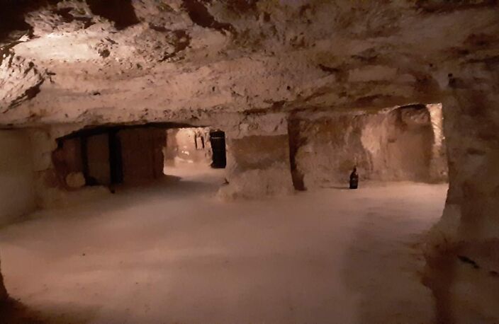 Vente divers  10 m² Parçay-Meslay (37210) — photo 5
