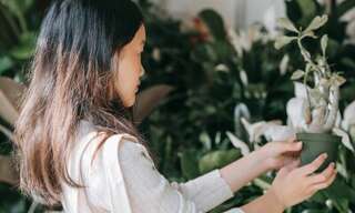 Commerce  80 m² à vendre à Vannes (56000)