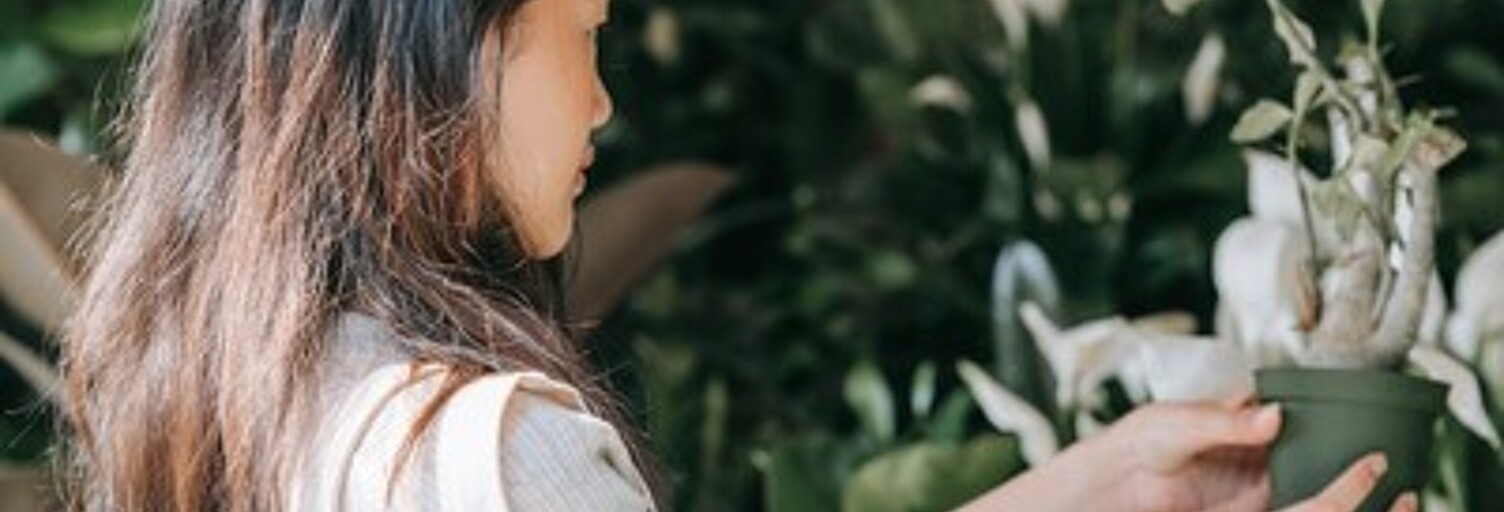 Commerce  80 m² à vendre à Vannes (56000)