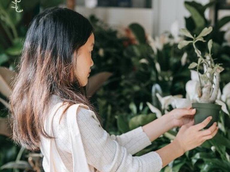 Fonds de commerce Fleuriste — photo 1