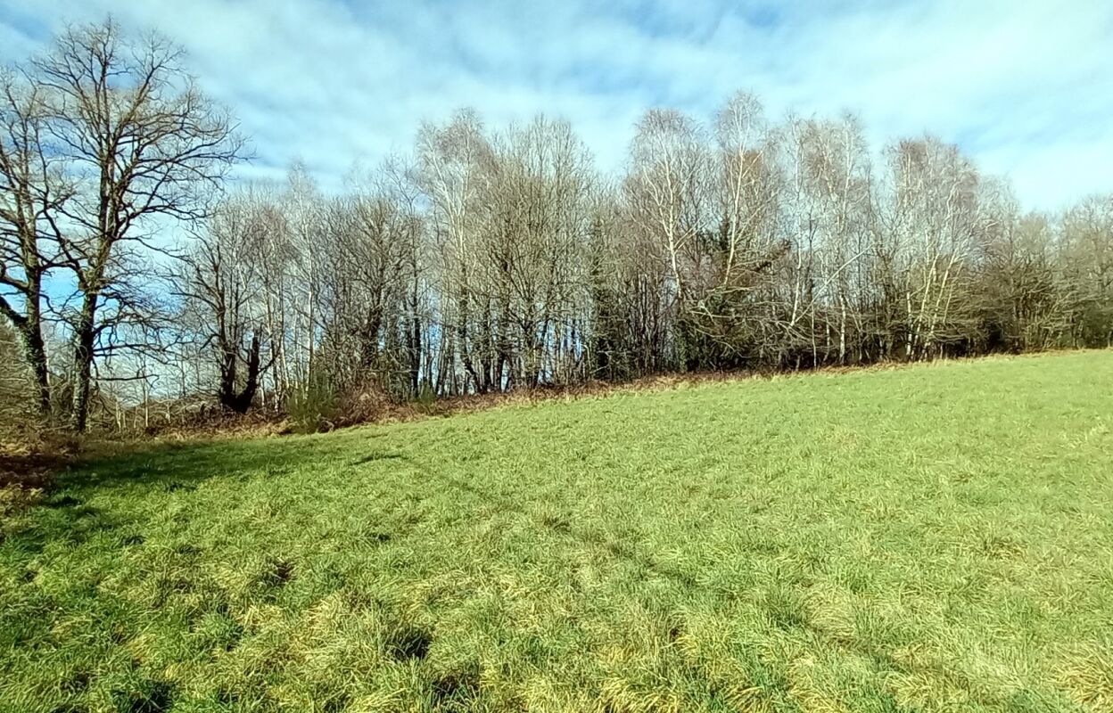 terrain  pièces 2700 m2 à vendre à Saint-Yrieix-la-Perche (87500)