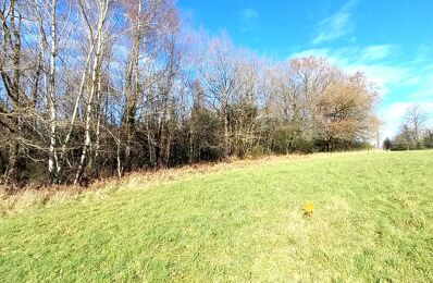 vente terrain 25 900 € à proximité de Coussac-Bonneval (87500)