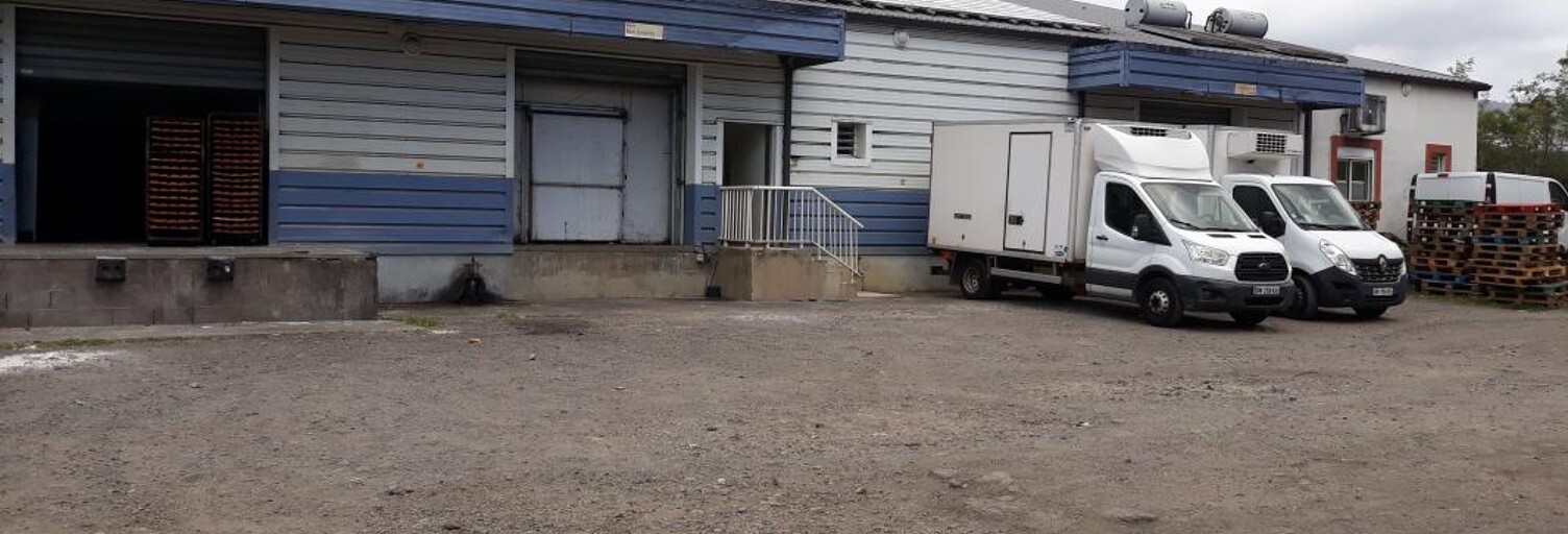 Local industriel  1150 m² à louer à Saint-Denis (97490)