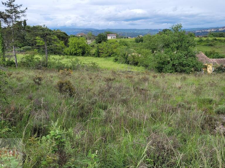 Terrain — photo 1