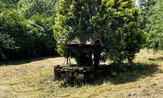 Photo N° 3
