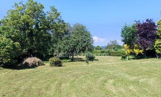 Photo N° 6