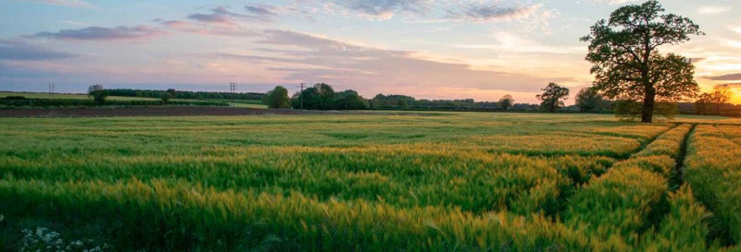 Terrain 528 m² à construire Bourg-Saint-Andéol (07700)