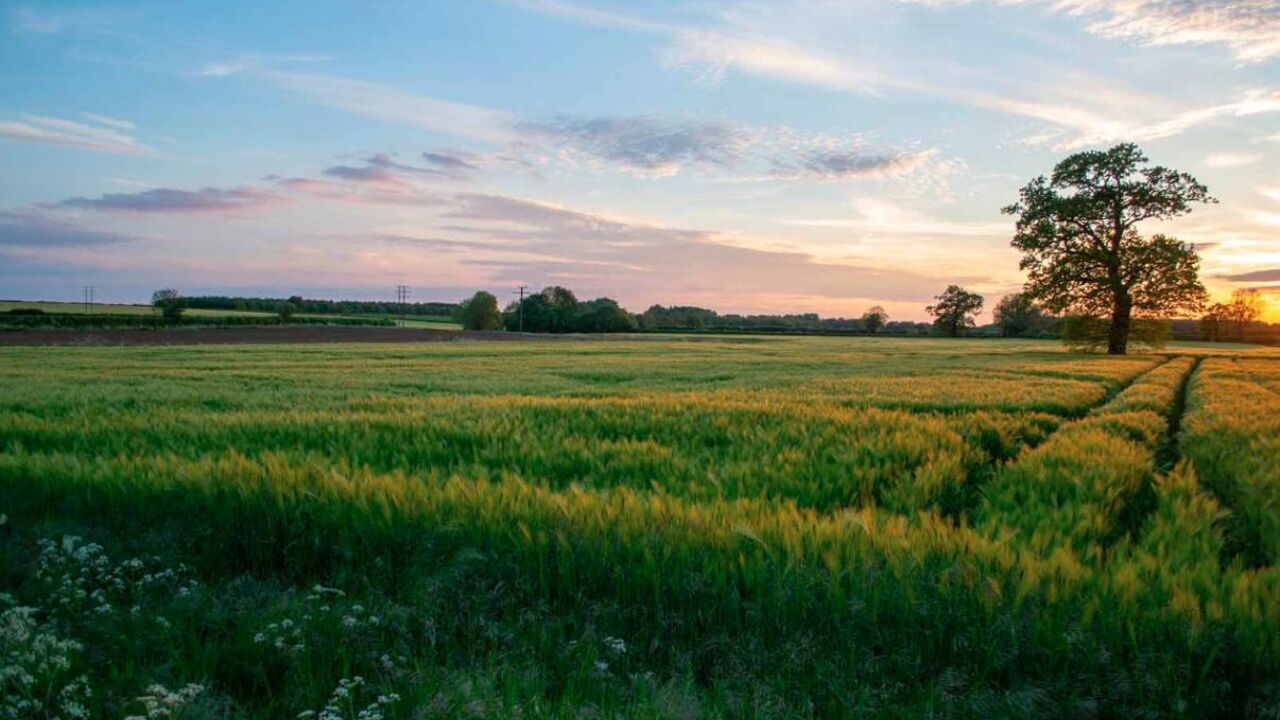 terrain 528 m2 à construire à Bourg-Saint-Andéol (07700)