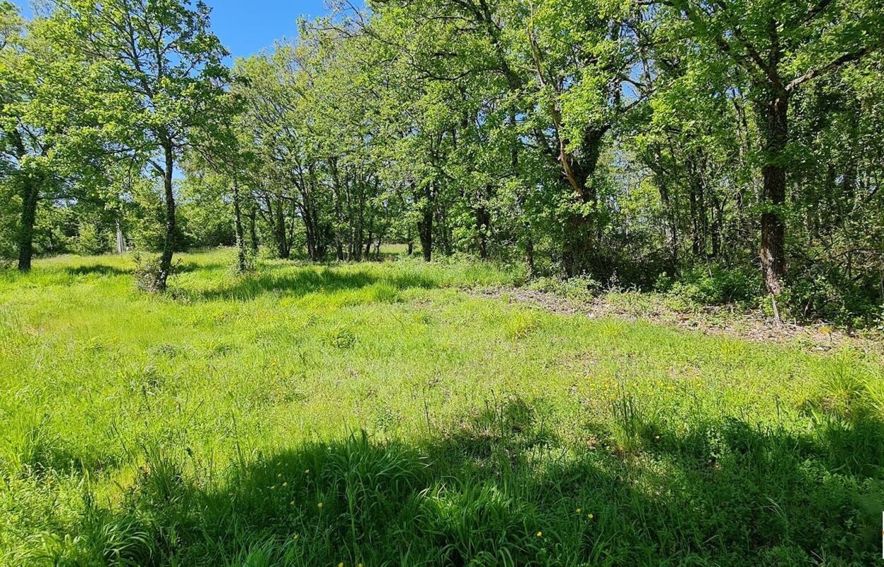 terrain  pièces 2500 m2 à vendre à Souillac (46200)