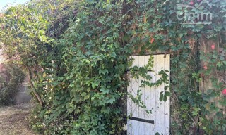 Photo N° 4
