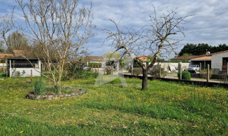 Photo N° 5
