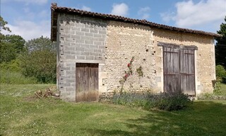 Photo N° 5